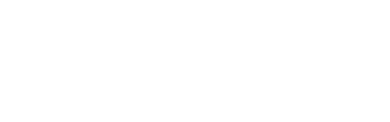 Public Sector Network